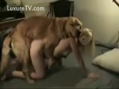 horny dilettante video of a dog and slutwife having sex on the ground